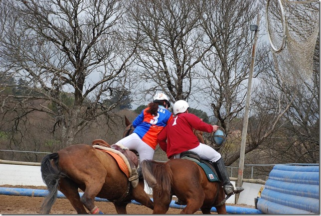 horseballsemanasantaluchados