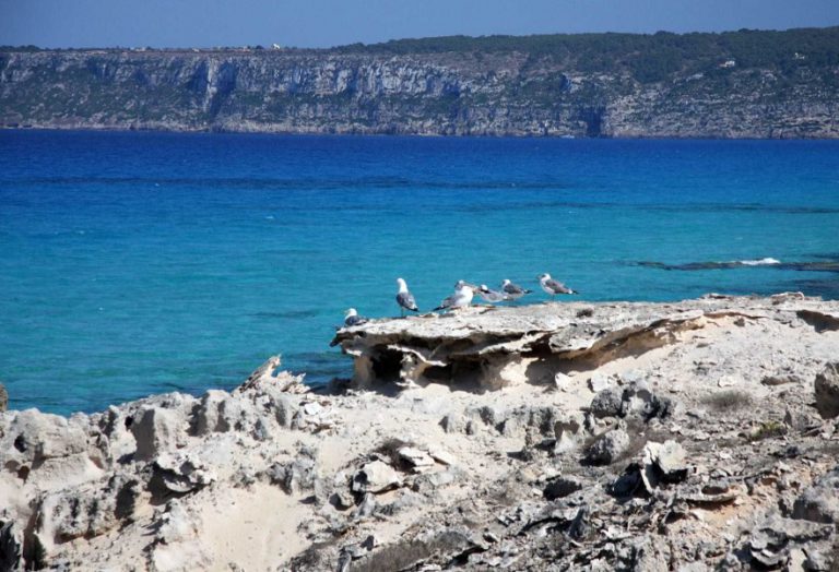 Desde Costa da Morte a Formentera