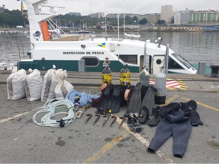 Aprehenden 134 quilos de percebe en el puerto de Santa Mariña, en Camariñas